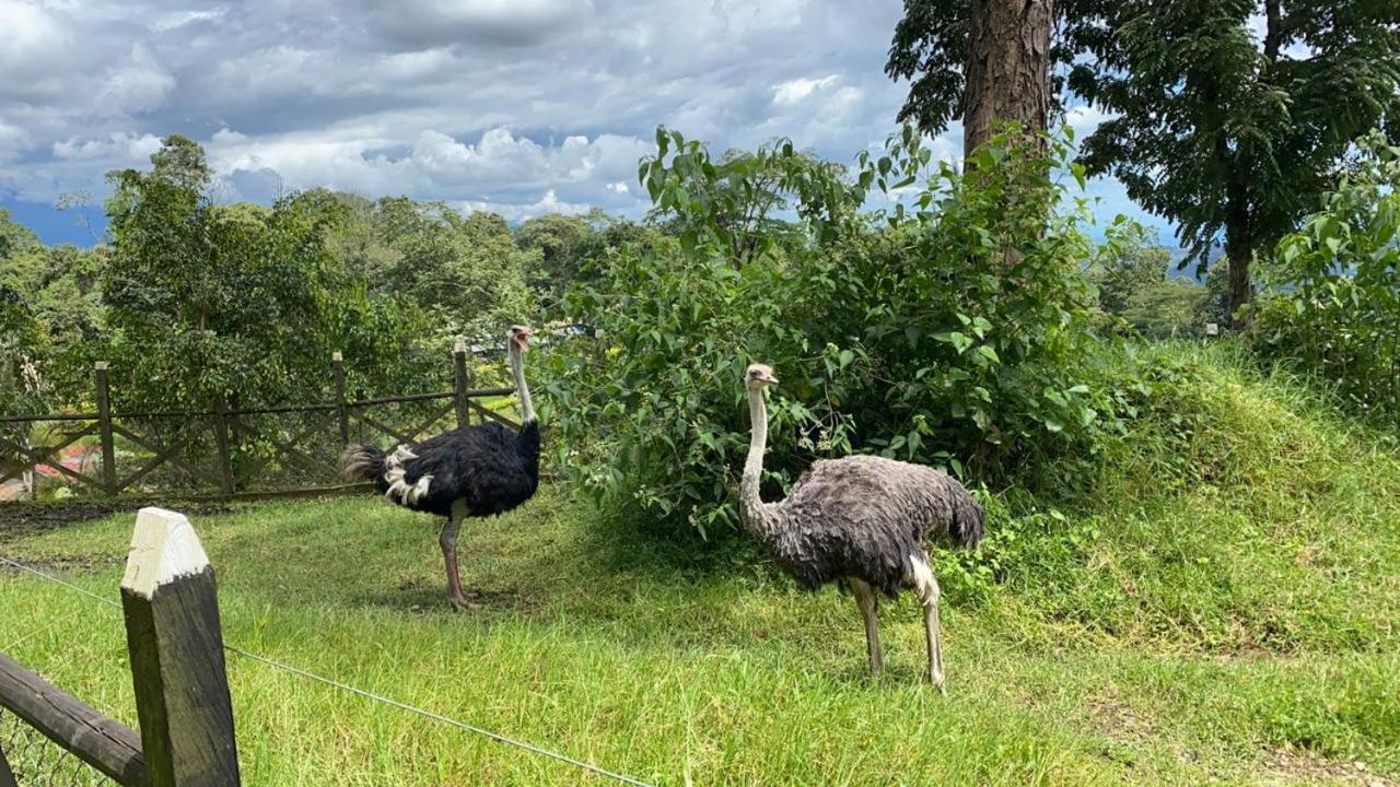 Отель Rancho Ecoturistico El Faro Ла-Меса Экстерьер фото