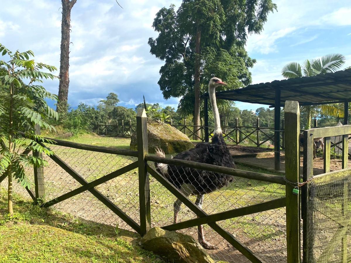 Отель Rancho Ecoturistico El Faro Ла-Меса Экстерьер фото