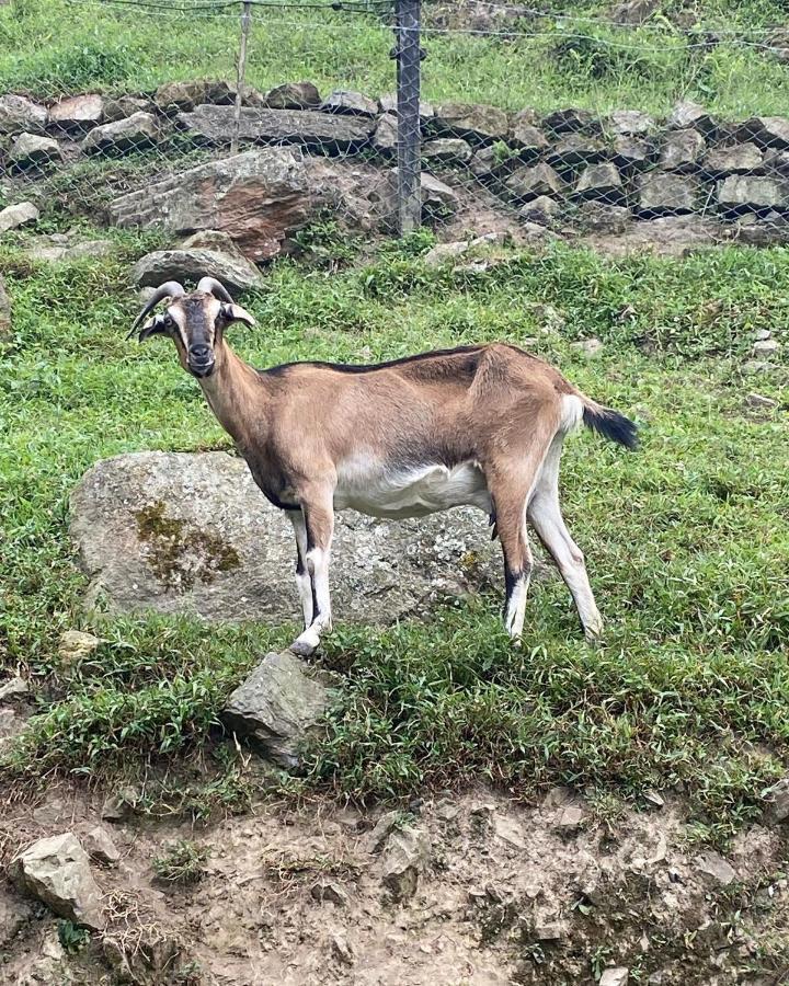 Отель Rancho Ecoturistico El Faro Ла-Меса Экстерьер фото